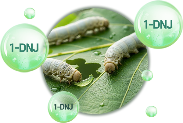 1데옥시노지리마이신