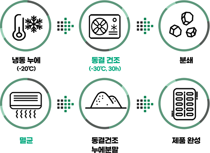 동결건조 누에 분말