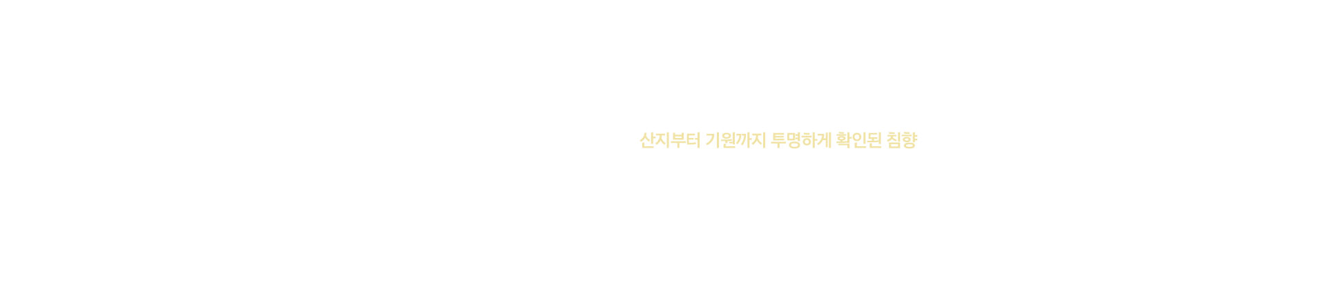 타이틀3