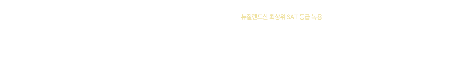 타이틀5